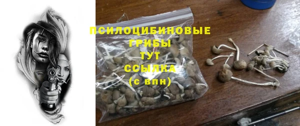 дмт Абинск